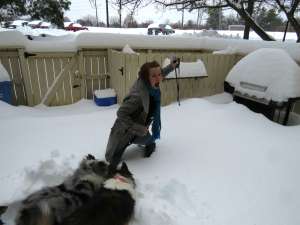 Trying to figure out how to let the dogs out, February 13, 2014 